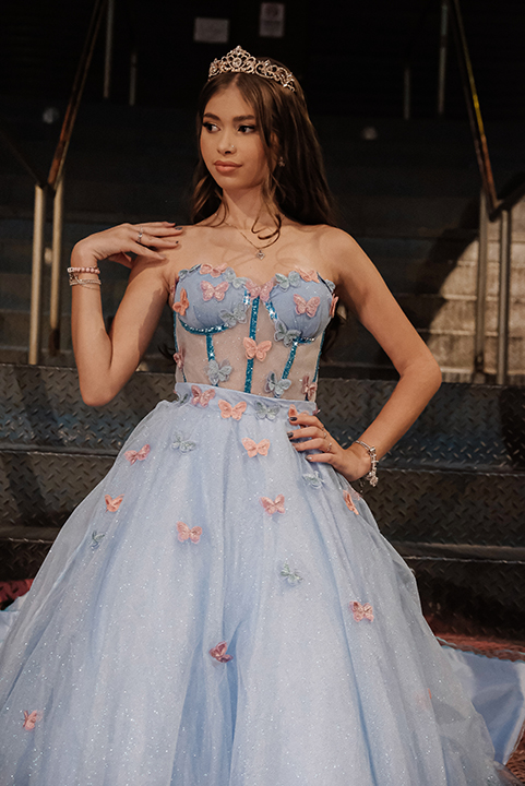 Aluguel de Vestidos para Festa Aluguel de Vestidos para Festa